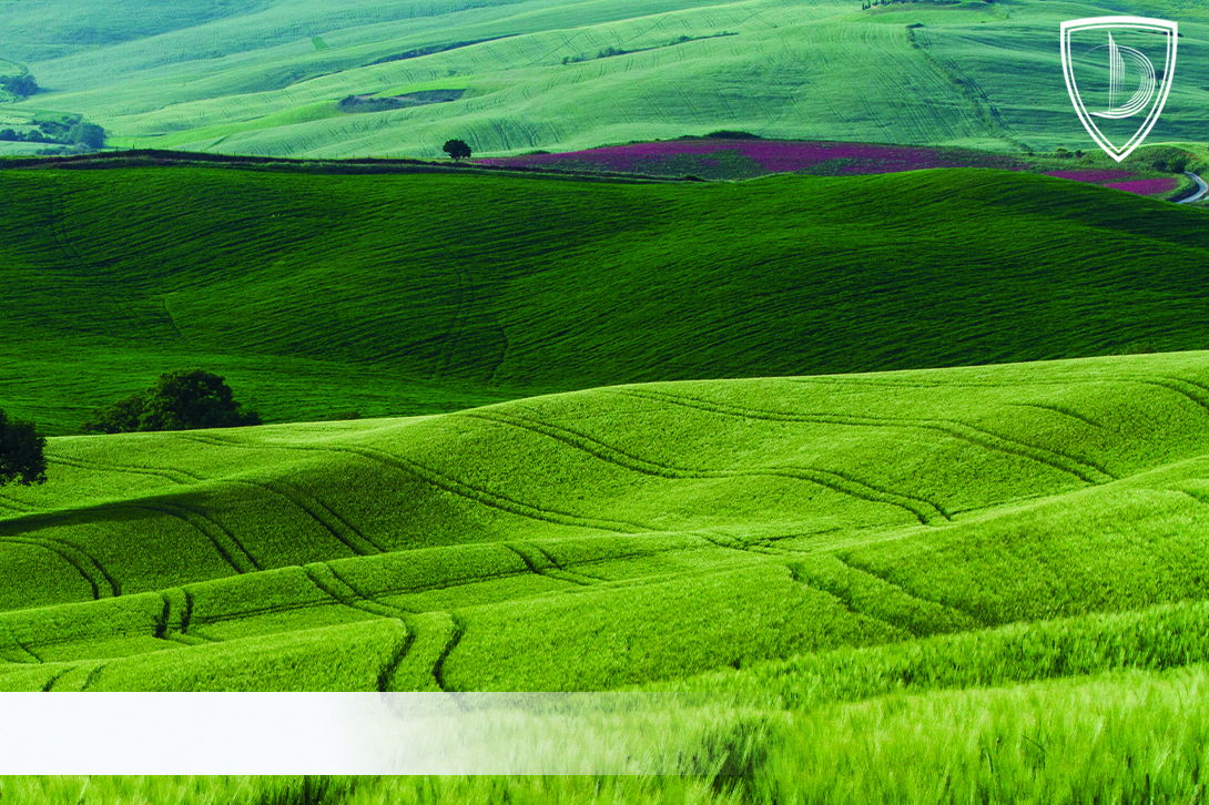 The increase of the normative monetary value of the lands in Dnipro city